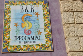 Гостиница Ippocampo B&B  Ликата